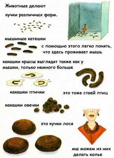Про говно для маленьких